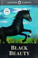 LADYBIRD CLASSIC BLACK BEAUTY