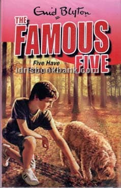 THE FAMOUS FIVE FIVE HAVE PLENTY OF FUN 14