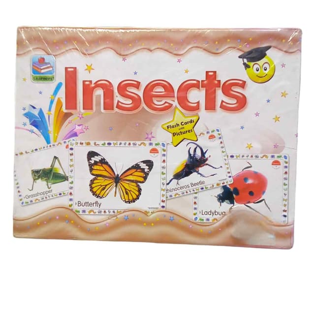 FLASH CARD INSECTS