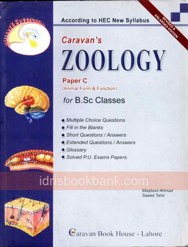 CARAVAN ZOOLOGY PAPER C OBJ