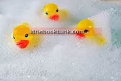 VINYL DUCK SET 12 PCS NO HB 8805
