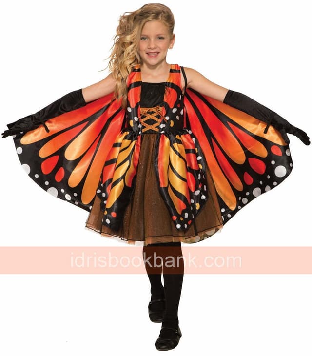 COSTUME BUTTER FLY LARGE