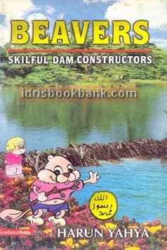 BEAVERS SKILFUL DAM CONSTRUCTOR