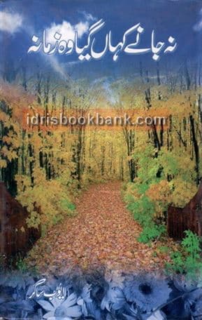 NA JANAY KAHAN GAYA WHO ZAMANA