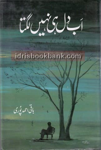 AB DIL HI NAHI LAGTA