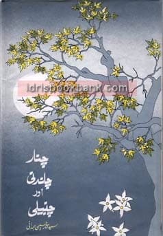 CHINAR CHANDNI AUR CHANBALEE