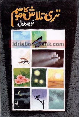 TERI TALASH KA MOSAM