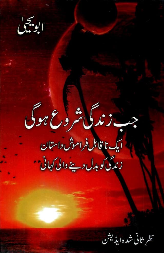 JUB ZINDAGI SHURO HO GI