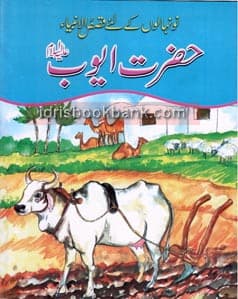 QASAS UL AMBIA HAZRAT AYUB