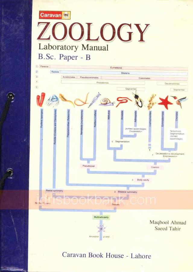 CARAVAN PC ZOOLOGY PAPER B