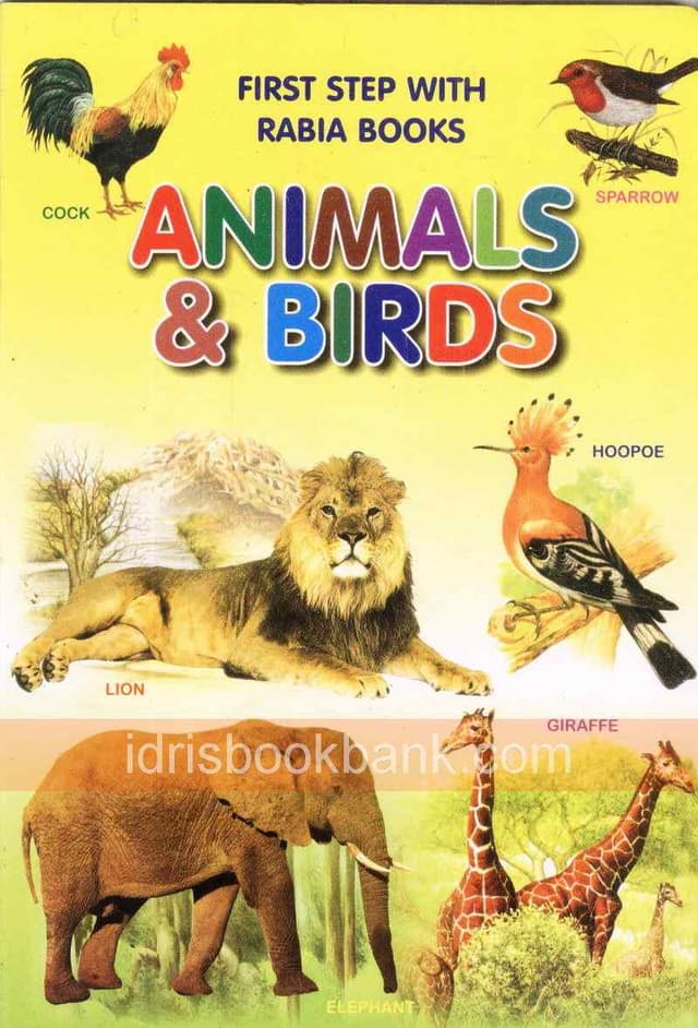 FIRST STEP WITH RABIA EDUCATIONAL SEIRES BIRDS