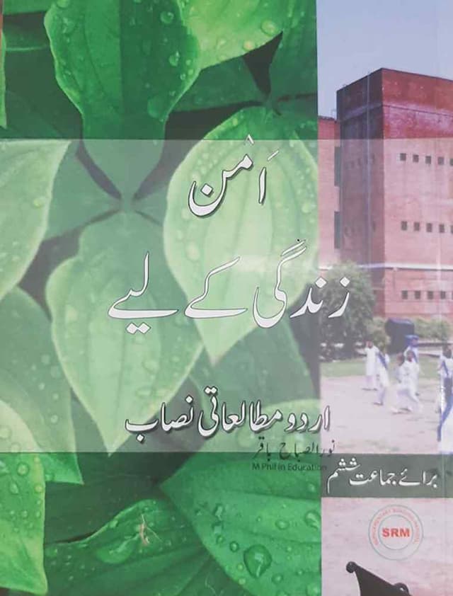 BSS AMAN ZINDAGI K LIAY 6
