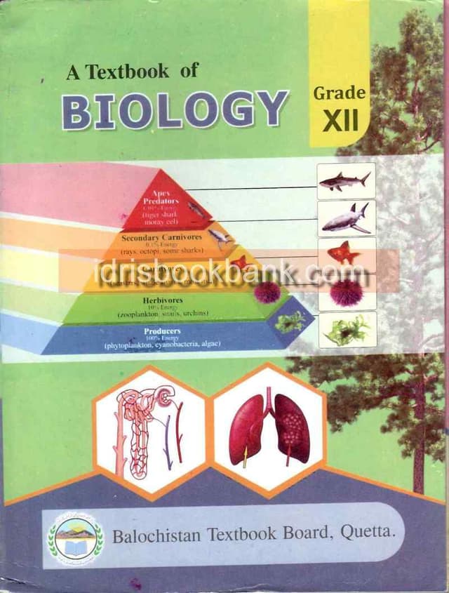 BTB BIOLOGY 12