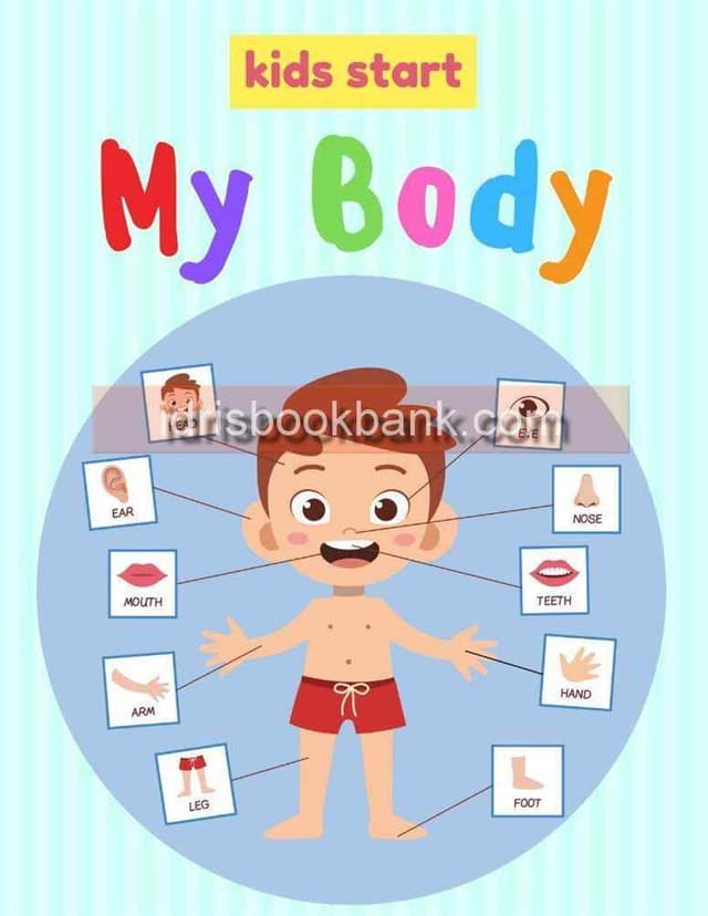 MY BODY