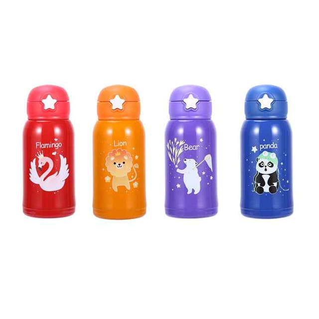 WATER BOTTLE STAINLESS STEEL NO VSD 268