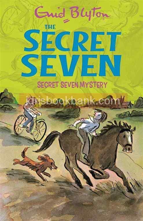 SECRET SEVEN MYSTERY