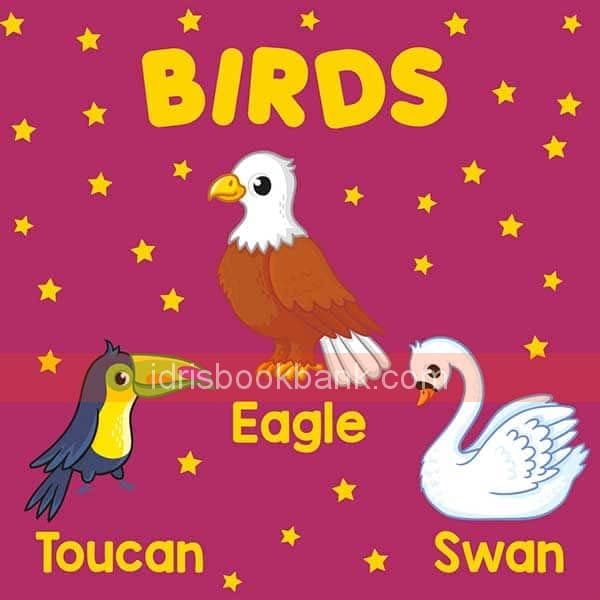 PARAMOUNT LITTLE HANDS BOARD BOOK BIRDS