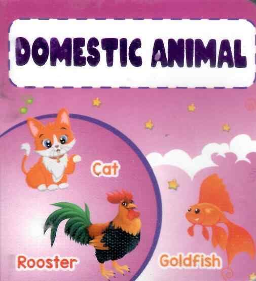 PARAMOUNT LITTLE HANDS BOARD BOOK DOMESTIC ANIMALS
