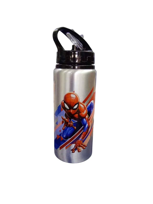 WATER BOTTLE CARTOON CHARACTER STAINLESS STEEL NO AAC 900
