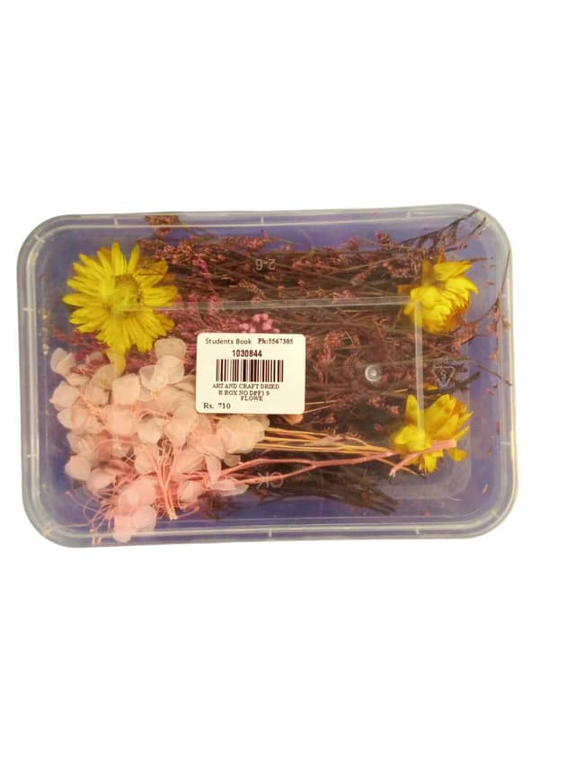 ART AND CRAFT DRIED FLOWER BOX NO DPF1 9