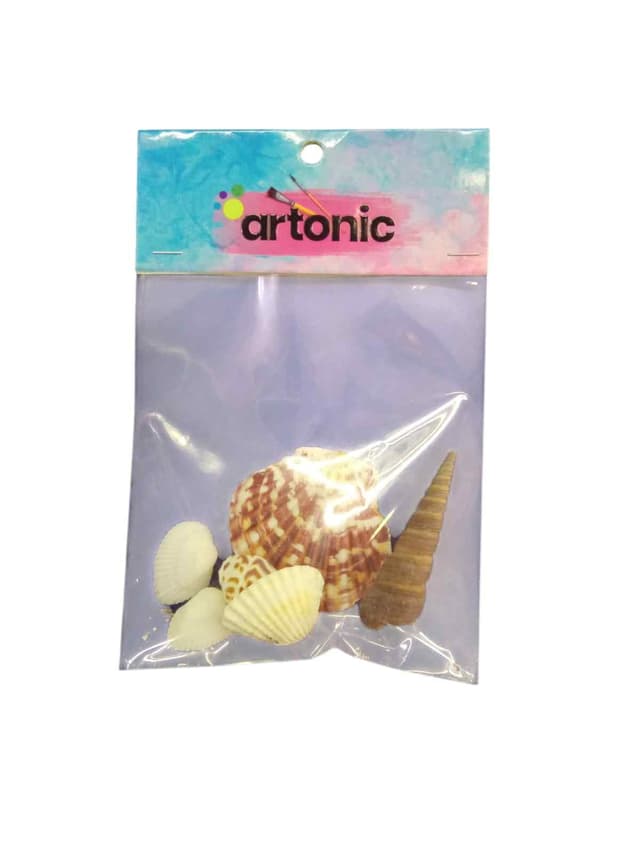 ARTONIC SEA SHELL 6 PCS PACK SMALL
