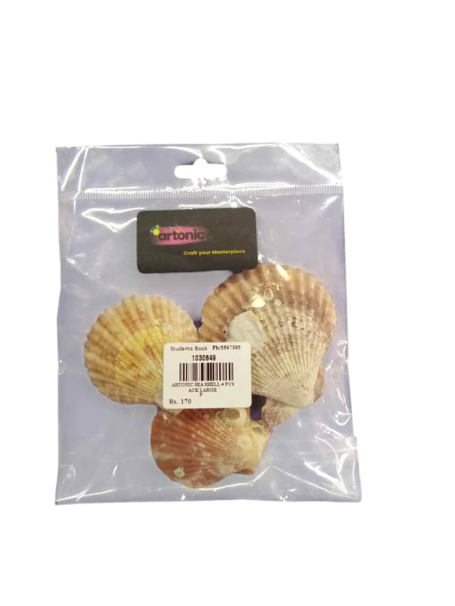 ARTONIC SEA SHELL 4 PCS PACK LARGE