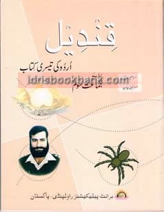 BRIGHT QANDEEL URDU 3