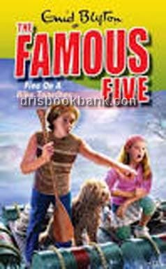 THE FAMOUS FIVE FIVE ON A HIKE TOGETHER 10