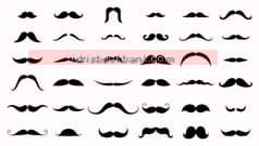 MUSTACHE 40