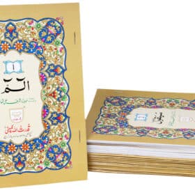 QURAN E MAJEED MIX PARA 1 TO 30 (50)