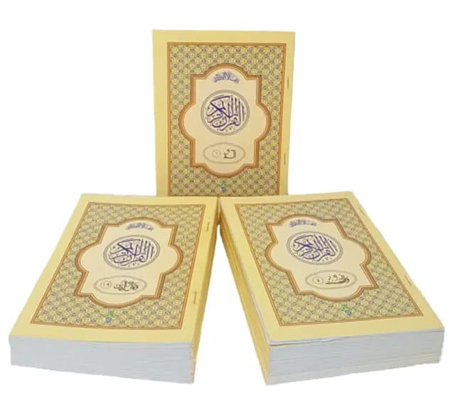 QURAN E MAJEED MIX PARA 1 TO 30 (100)