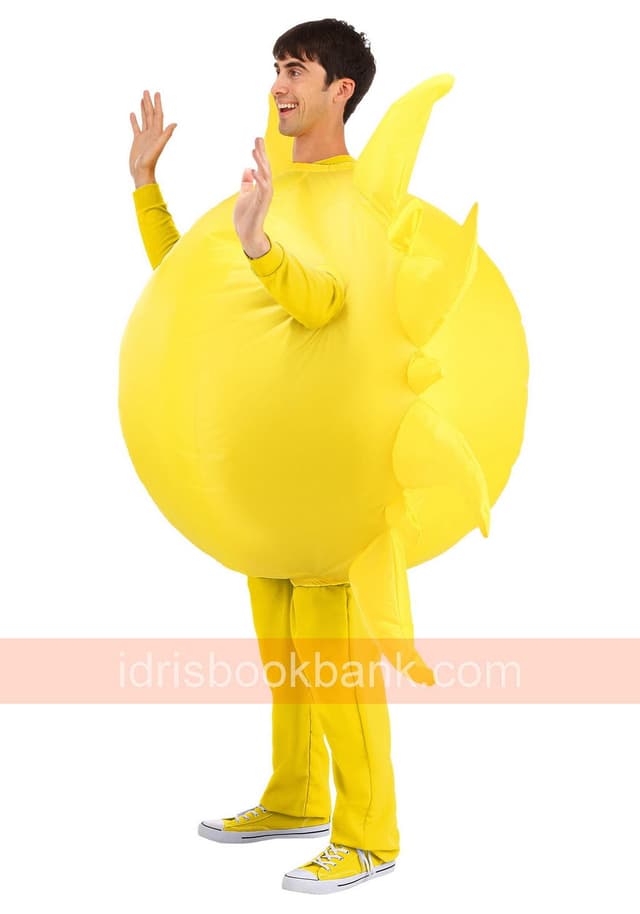 COSTUME SUN LARGE