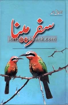 SAFAR E MAINA