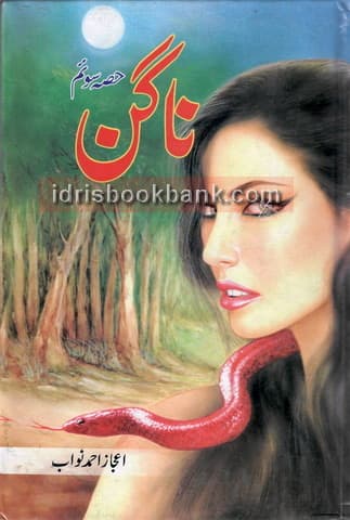 NAGAN 3