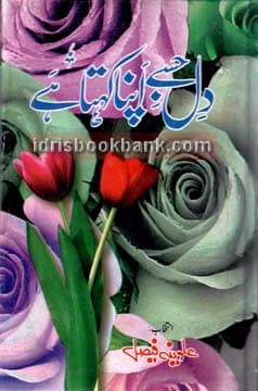 DIL JISAY APNA KAHATA HAI