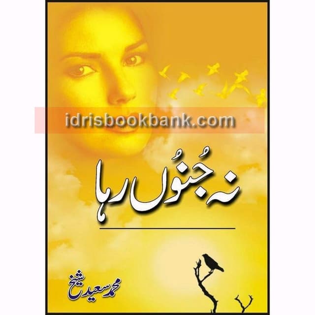 NA JANOON RAHA