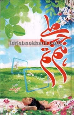 MILAY JUB HUM TUM