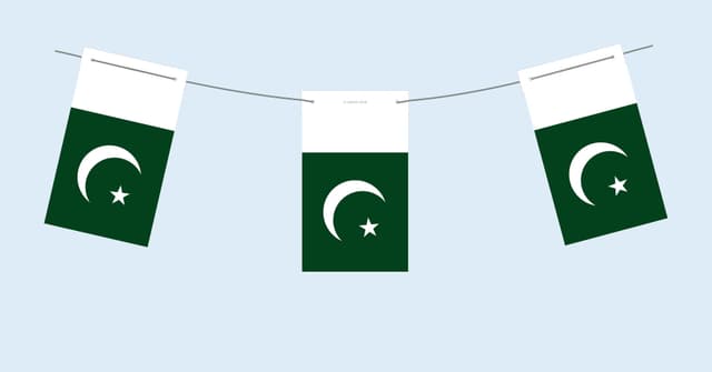 FLAG 15