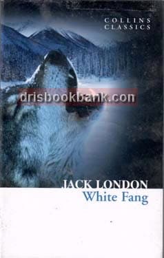 WHITE FANG (295)