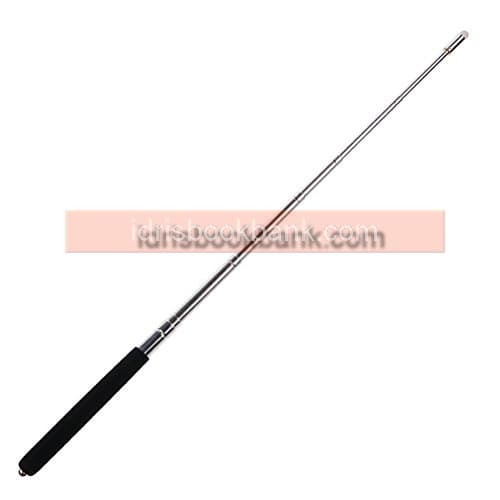 ARIAL POINTER S