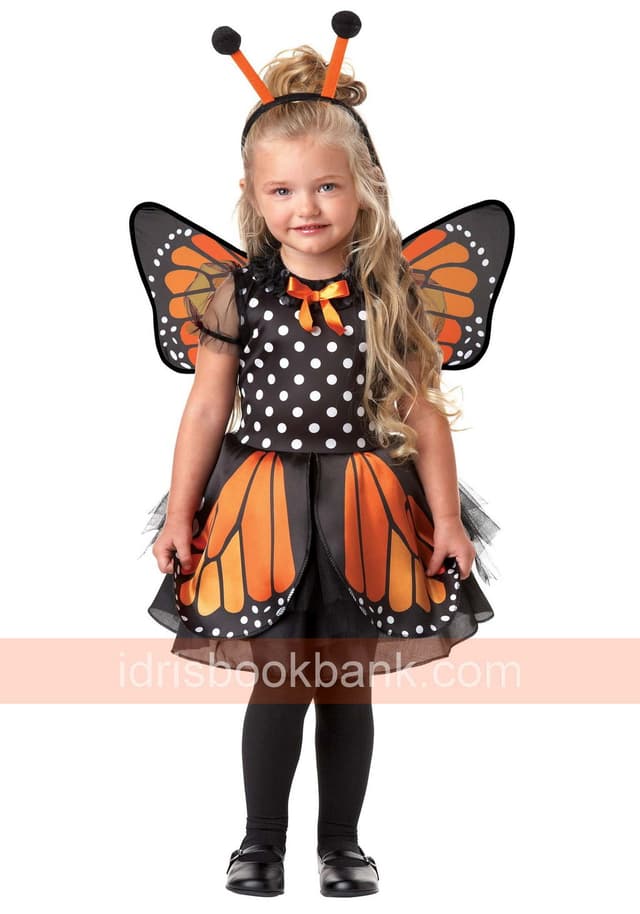 COSTUME BUTTER FLY