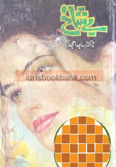 BAY SHAIKH