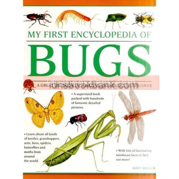 MY FIRST ENCYCLOPEDIA BUGS