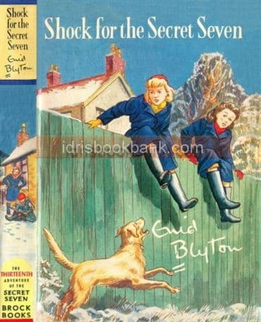 SHOCK FOR THE SECRET SEVEN