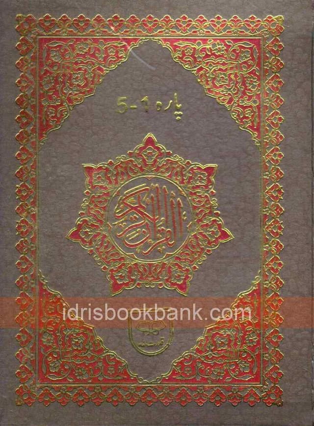 PUNJ PARA SET WITH TRANSLATION NO-495