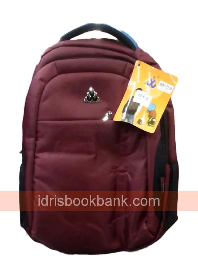SCHOOL BAG BIAO WANG NO-BW-1313