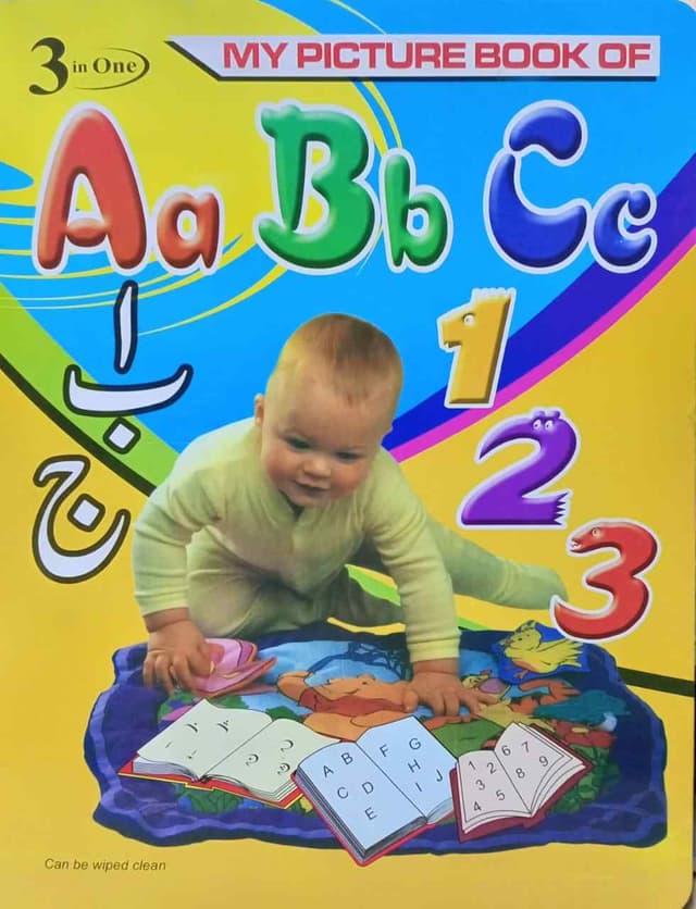 3 IN 1 MY PICTURE BOOK NO 100