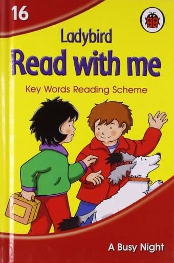 LADYBIRD READ WITH ME A BUSY NIGHT BK 16