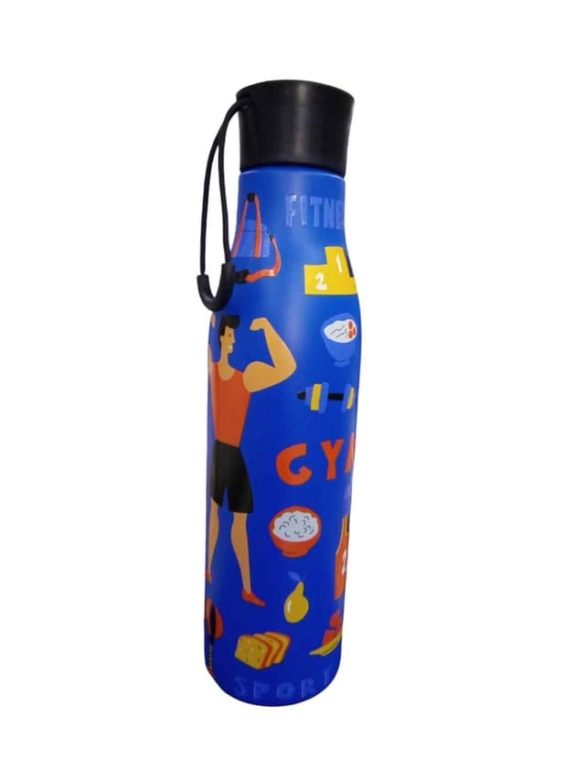 WATER BOTTLE STAINLESS STEEL MIX CARTOON CHARACTER NO AAAC 1195