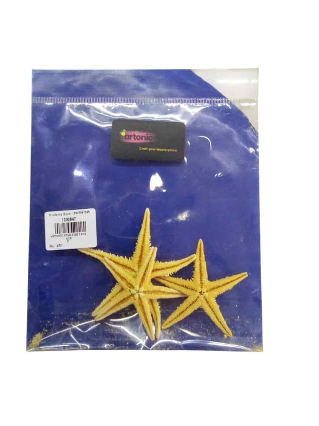 ARTONIC STAR FISH 3 PCS PACK